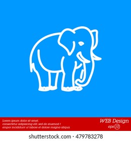 Web line icon. Elephant; wild animals