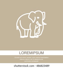 Web line icon. Elephant; wild animals