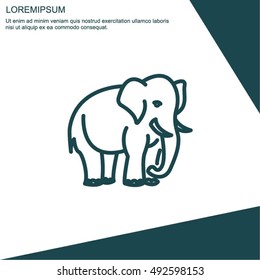 Web line icon. Elephant; wild animals