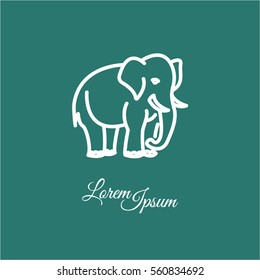 Web line icon. Elephant; wild animals