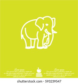 Web line icon. Elephant; wild animals