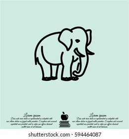 Web line icon. Elephant; wild animals