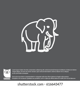 Web line icon. Elephant; wild animals