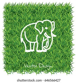 Web line icon. Elephant; wild animals