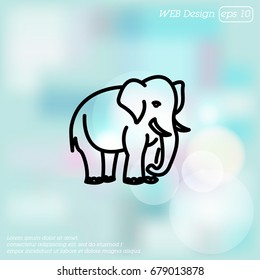 Web line icon. Elephant; wild animals