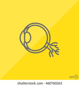 Web line icon. Eyeball