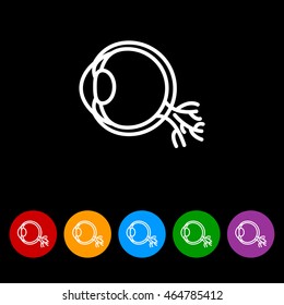Web line icon. Eyeball