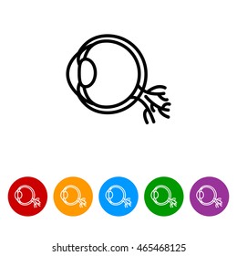 Web line icon. Eyeball