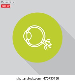 Web line icon. Eyeball