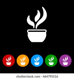 Web line icon. Flower in a pot