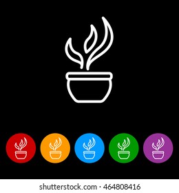 Web line icon. Flower in a pot
