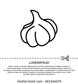 Web line icon. Garlic