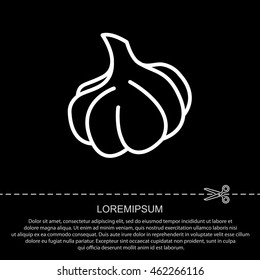 Web line icon. Garlic
