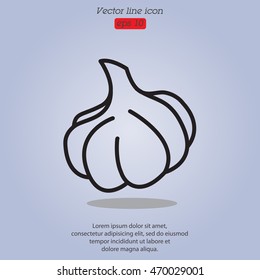 Web line icon. Garlic
