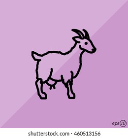 Web line icon. Goat, livestock