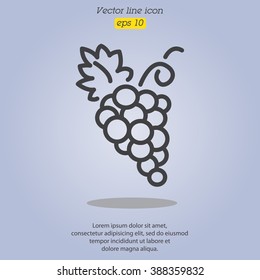 Web line icon. Grapes, bunches of grapes