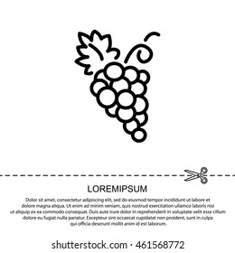 Web line icon. Grapes, bunches of grapes