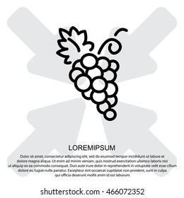 Web line icon. Grapes, bunches of grapes
