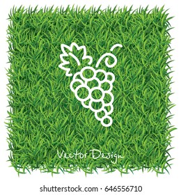 Web line icon. Grapes, bunches of grapes