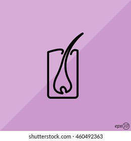 Web line icon. Hair, hair scheme