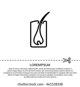 Web line icon. Hair, hair scheme