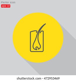 Web line icon. Hair, hair scheme
