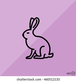 Web line icon. Hare, rabbit