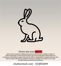 Web line icon. Hare, rabbit