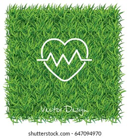 Web line icon. Heart cardiogram, heartbeat