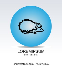 Web line icon. Hedgehog; wild animals