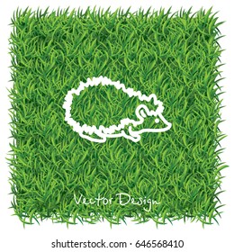 Web line icon. Hedgehog; wild animals