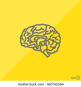 Web line icon. Human brain