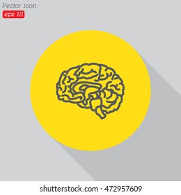 Web line icon. Human brain