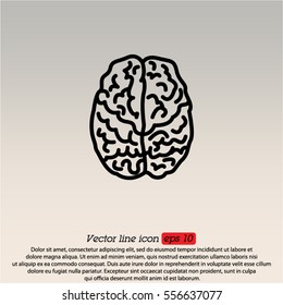 Web line icon. Human brain