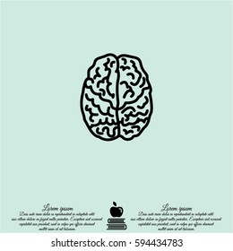 Web line icon. Human brain