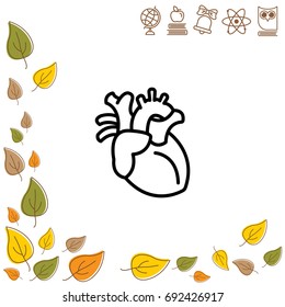Web line icon. Human heart