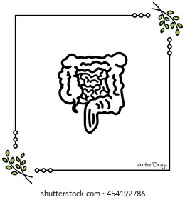 Web line icon. Intestines