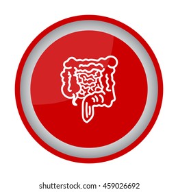 Web line icon. Intestines