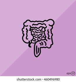 Web line icon. Intestines