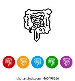 Web line icon. Intestines