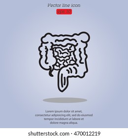 Web line icon. Intestines