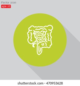 Web line icon. Intestines