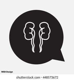 Web line icon. Kidneys