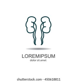 Web line icon. Kidneys
