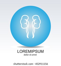 Web line icon. Kidneys