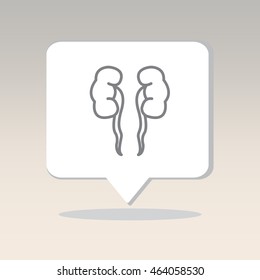 Web line icon. Kidneys