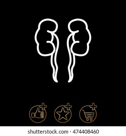 Web line icon. Kidneys