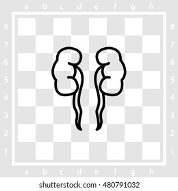 Web line icon. Kidneys