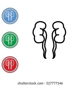 Web line icon. Kidneys