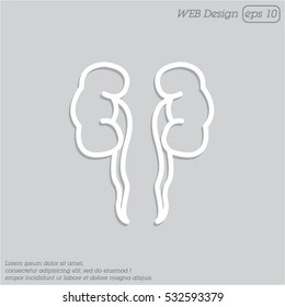 Web line icon. Kidneys
